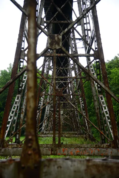 DSC_2209 (Large).JPG